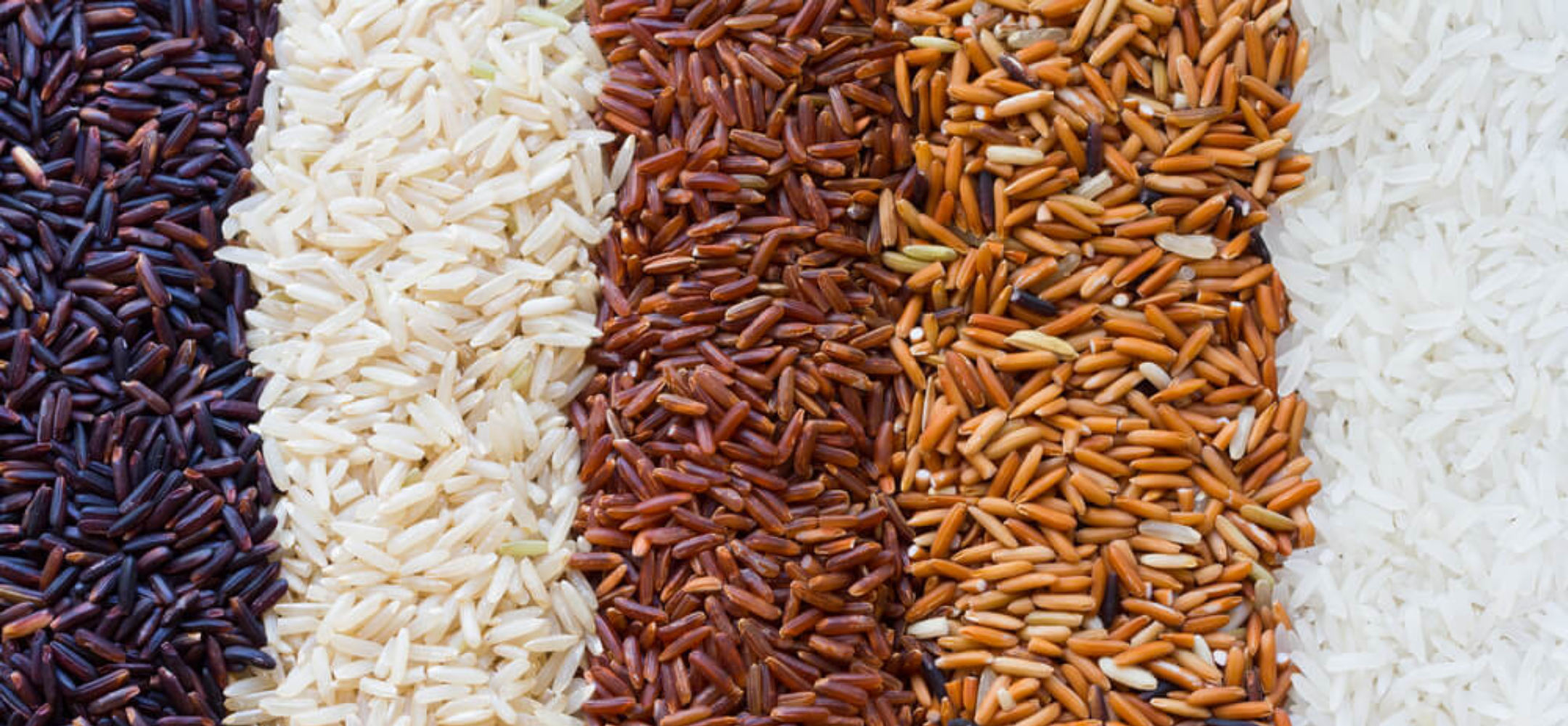 Banner de grãos e arroz do acervo OBAM