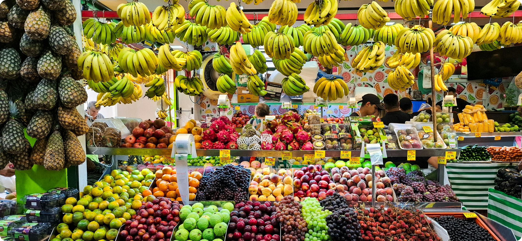 Banner de frutas e feira do acervo OBAM