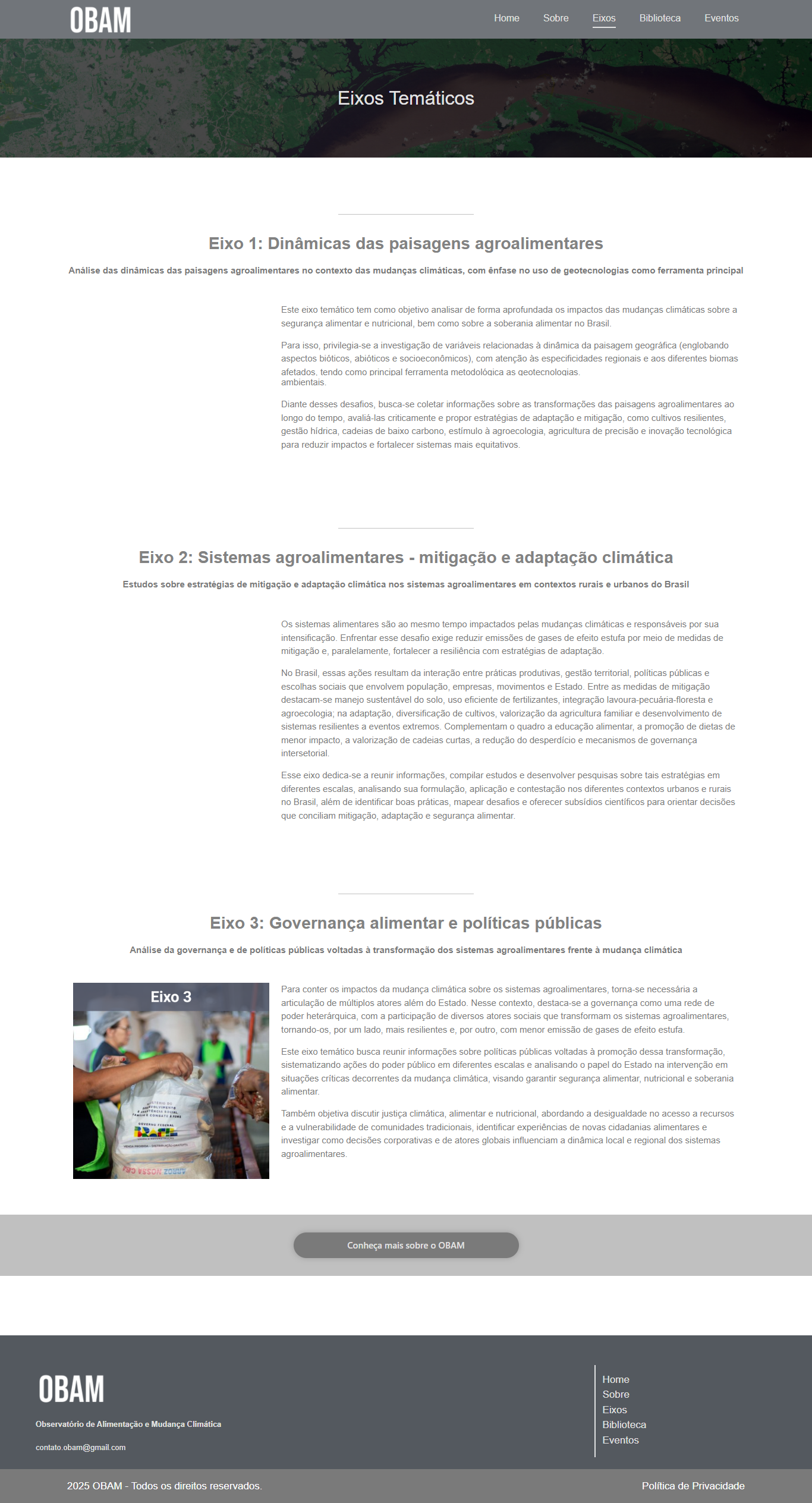 V1 cinza: Eixos Temáticos em estrutura minimal sem cor